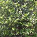 조이네집 이미지