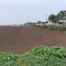 대정읍 상모1리사무소 이미지