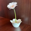 지혜로운생활연구소 | 소품 홈데코 인테리어 추천템(에포크, 엔알세라믹스, 퀄리, 경기도자상점)