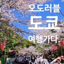 나무아래서(푸드트럭) | 벚꽃보러 도쿄에 놀러가다.4편-[도쿄 2박3일 | 도쿄 벚꽃맛집 우에노공원,일본벚꽃축제,아키하바라에서...