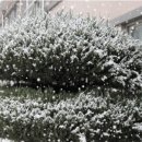 신남중학교 이미지