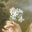 자영에너지 이미지