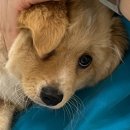 오라고동물병원 이미지