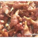 오향골농장 이미지