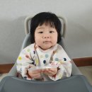 코코스어린이집 | 육아일기 / 인생 312~319일차 :: 육아육묘, 쌩마멧 퓨레먹방, 얼굴 생채기, 라일락 만지기, 조동모임...