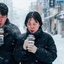 아이스 카카오 검색결과