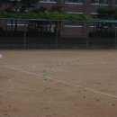 정예태양광 이미지