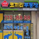 단지내코끼리공인중개사사무소 이미지