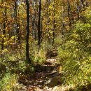 매봉산 바람의언덕 이미지