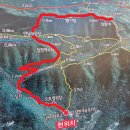 천주산 등산로 | 창원, 진달래 명소 '천주산' 등산 후기