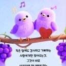 두여인 Daum카페