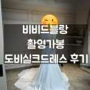 도비네 | 비비드블랑 촬영드레스 | 도비 실크드레스 후기