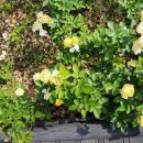 마음정원 이미지