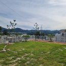 포플러하우스 이미지