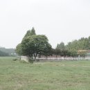 산성목장2 이미지