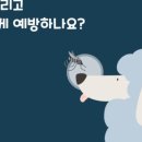 백석동물병원 이미지