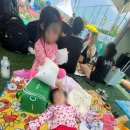 신나는강남어린이집 | 강남구 도심 속 무료 물놀이장! 일원동 에코파크