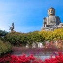 설렘한스푼 이미지