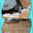우리집수리