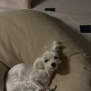 백화stay 이미지