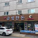 금빛한돈 이미지