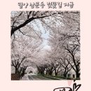 삼문강변로 이미지