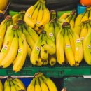 연세사랑의원 이미지