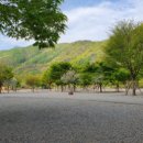 숲이조아캠핑장 이미지