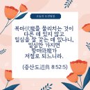 일심 이미지
