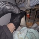 당진청구@ | 당진 풍림 아파트 아래층 천장이 젖음 아랫집 주방 피해