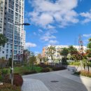 송산갑부공인중개사사무소 | 오송역 파라곤센트럴시티 1차, 학군·생활편의·단지 구성 완벽 정리