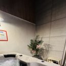 스텔라토 이미지