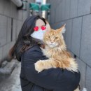 쿤이쿤이 이미지
