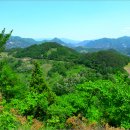 괴곡성벽길 이미지