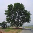 교암초등학교 이미지