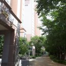 황금1동주민센터 이미지