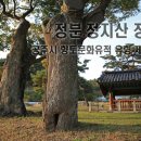 정분,정지산 정려 이미지
