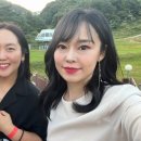 로얄패밀리 이미지