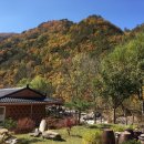 부연계곡황토방 이미지