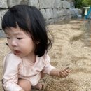 시골한우방