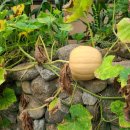 동양대학교 교육대학원 이미지