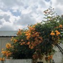 오상경로당 이미지