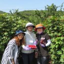 보운농장 이미지