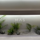 똑똑1층한의원 이미지