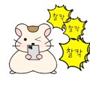 가온양꼬치