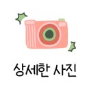 소나무한의건강