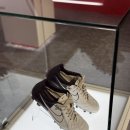 보령스포츠파크 이미지