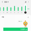 정갈한밥상