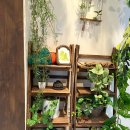 스테이 뒷빌레 이미지