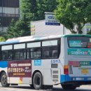 삼화온천